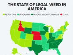 Federal marijuana reform plan is a ‘new beginning’: Canopy Growth CEO