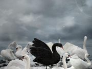 The $50 Trillion Warning Signal Wall Street Is Desperately Hiding From You